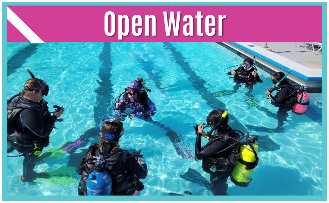 Sea Sirens Scuba & Charters