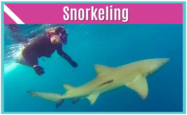 Sea Sirens Scuba & Charters