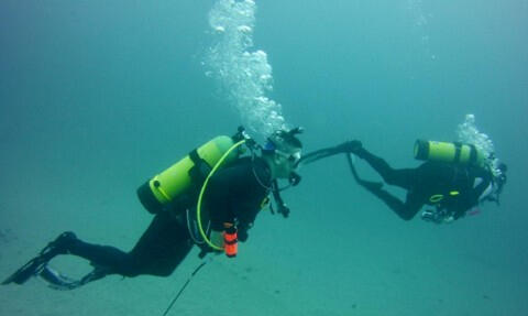 Sea Sirens Scuba & Charters