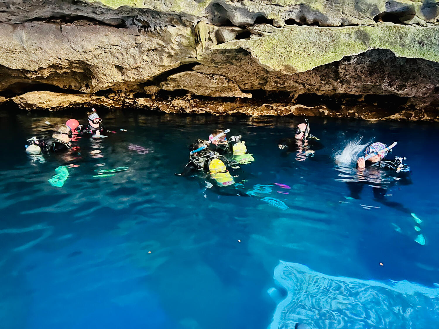 Sea Sirens Scuba & Charters