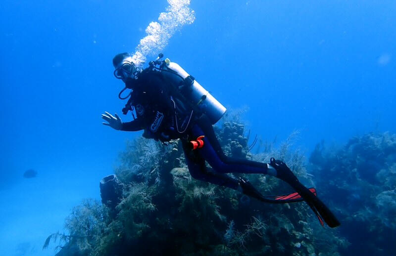 Sea Sirens Scuba & Charters