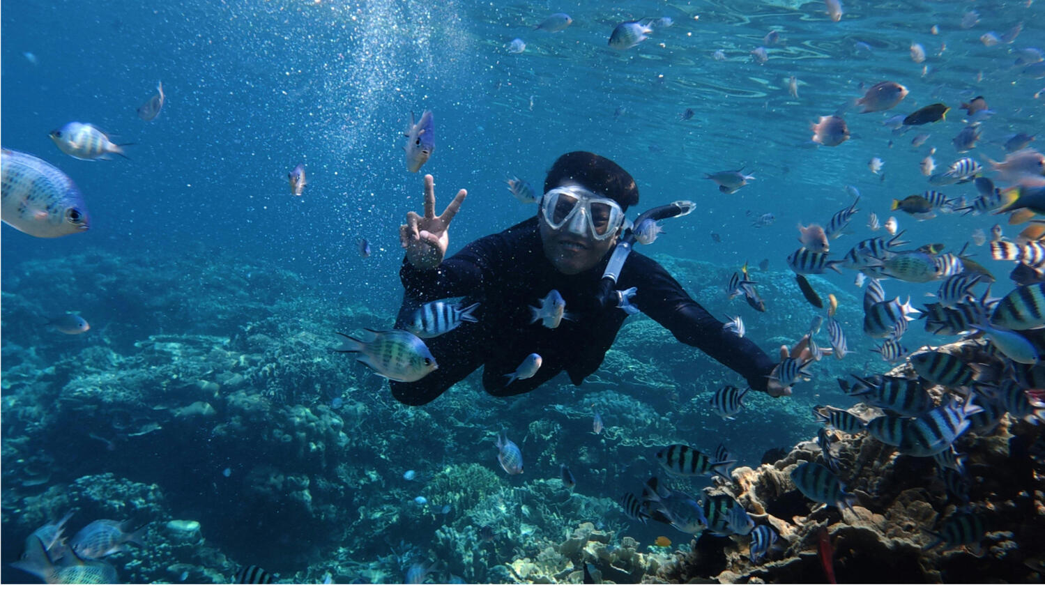 Sea Sirens Scuba & Charters