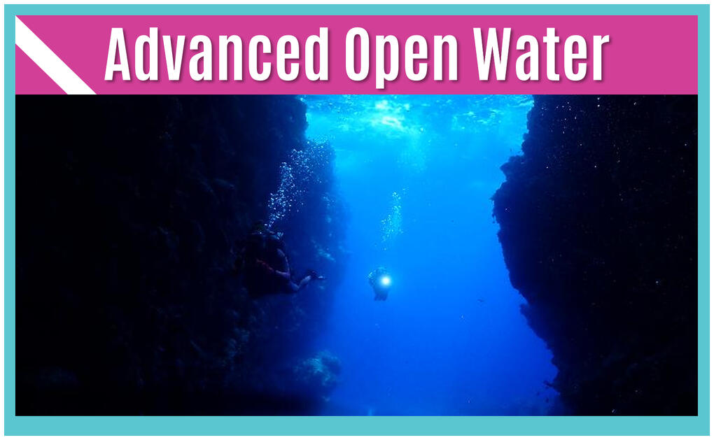 Sea Sirens Scuba & Charters
