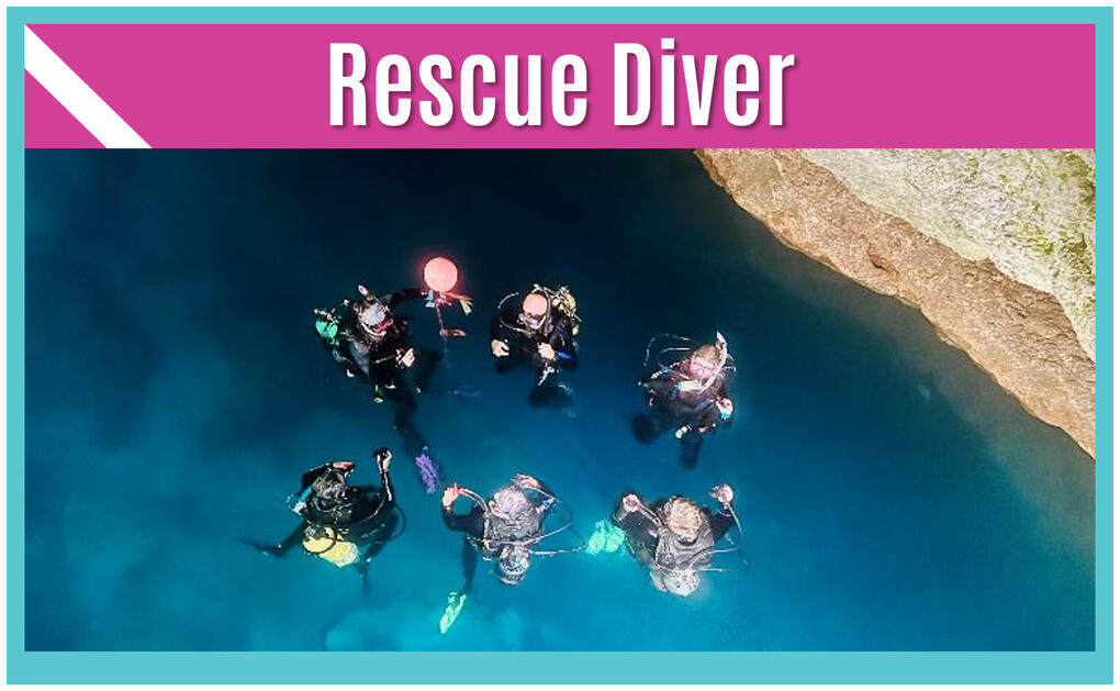 Sea Sirens Scuba & Charters