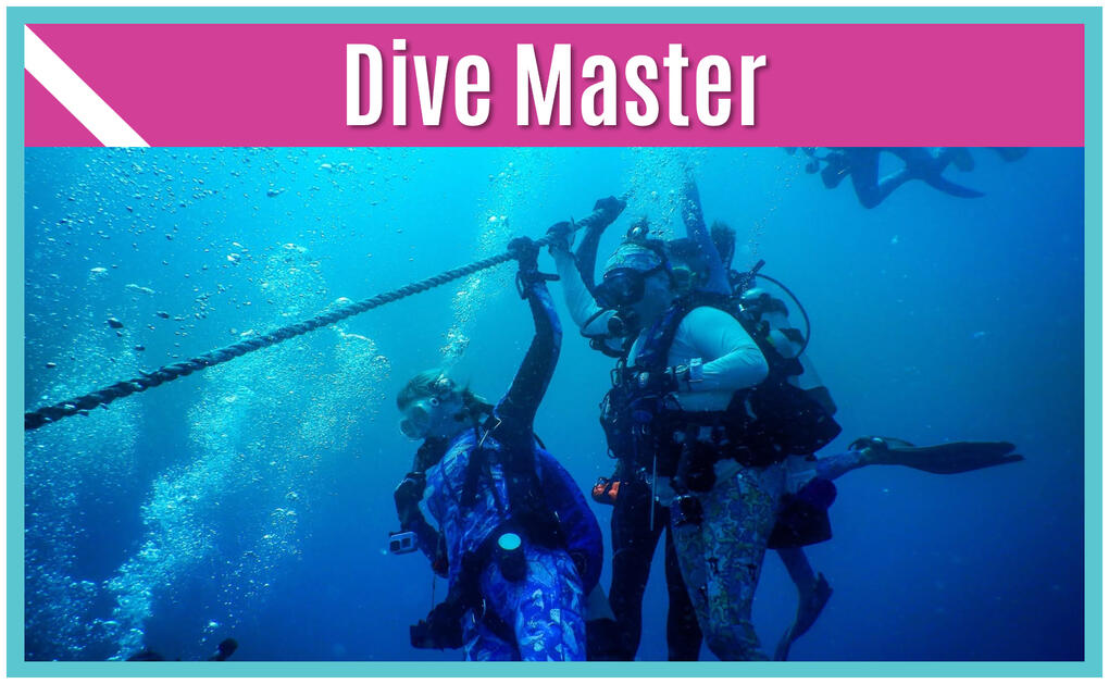 Sea Sirens Scuba & Charters
