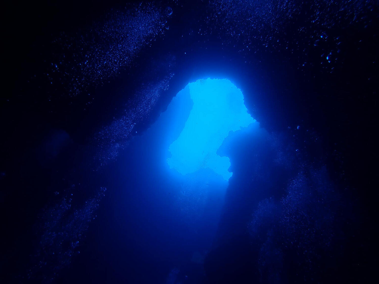Sea Sirens Scuba & Charters