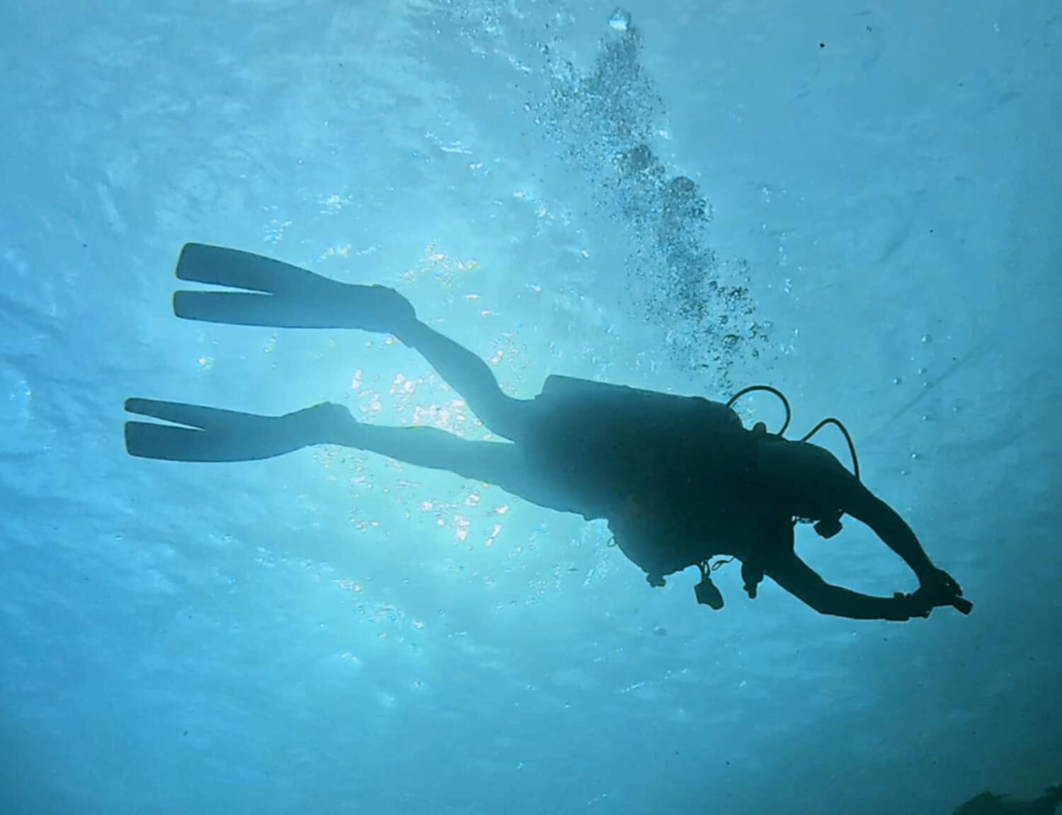 Sea Sirens Scuba & Charters