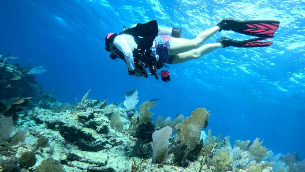 Sea Sirens Scuba & Charters